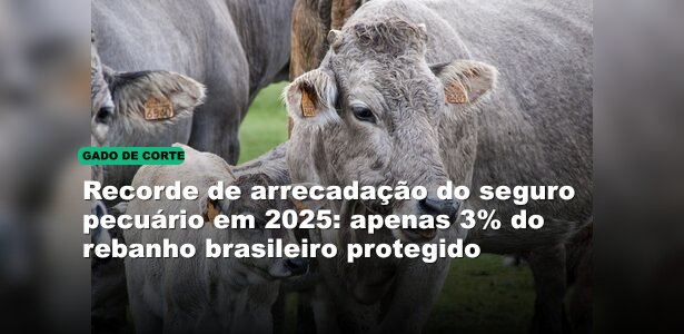 Recorde de arrecadação do seguro pecuário em 2025: apenas 3% do rebanho brasileiro protegido