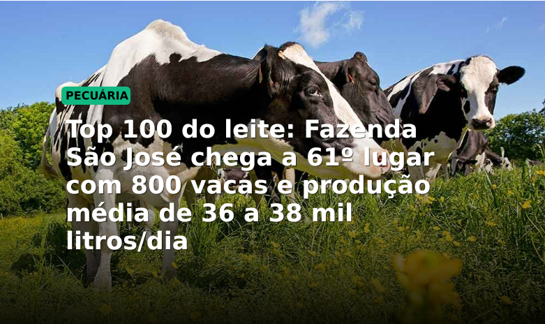 Top 100 do leite: Fazenda São José chega a 61º lugar com 800 vacas e produção média de 36 a 38 mil litros/dia