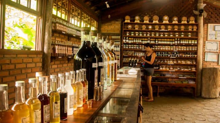 Paraty: Cachaça artesanal que une Serra, Mar e Tradição na Estrada Real