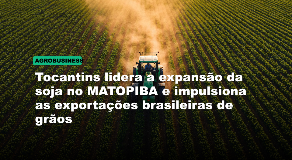 Tocantins lidera a expansão da soja no MATOPIBA e impulsiona as exportações brasileiras de grãos