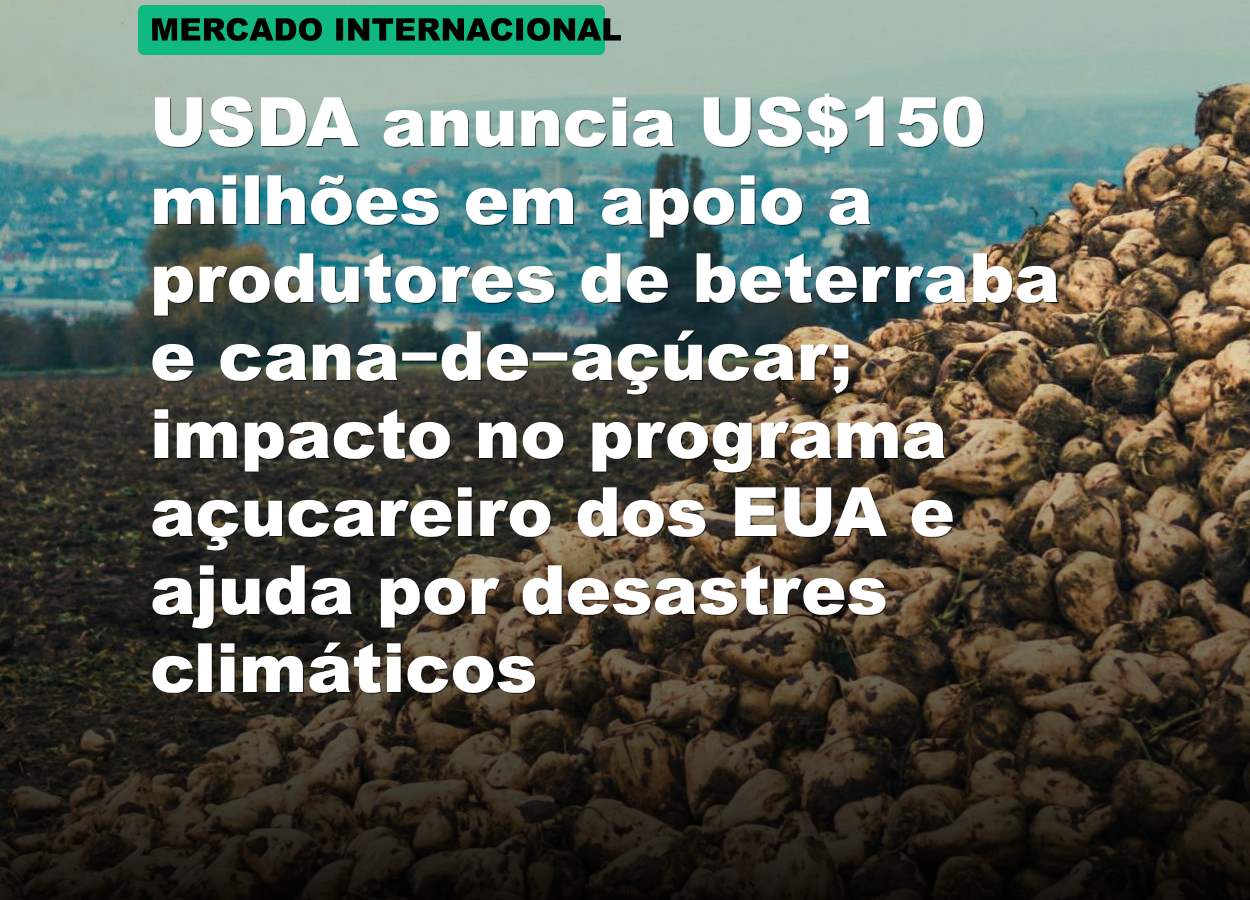 USDA anuncia US$150 milhões em apoio a produtores de beterraba e cana‑de‑açúcar; impacto no programa açucareiro dos EUA e ajuda por desastres climáticos