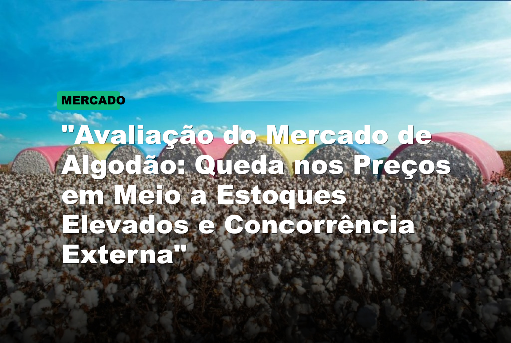 "Avaliação do Mercado de Algodão: Queda nos Preços em Meio a Estoques Elevados e Concorrência Externa"