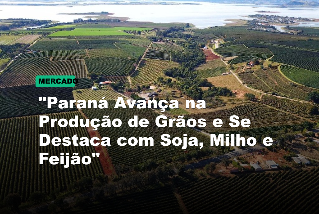 "Paraná Avança na Produção de Grãos e Se Destaca com Soja, Milho e Feijão"