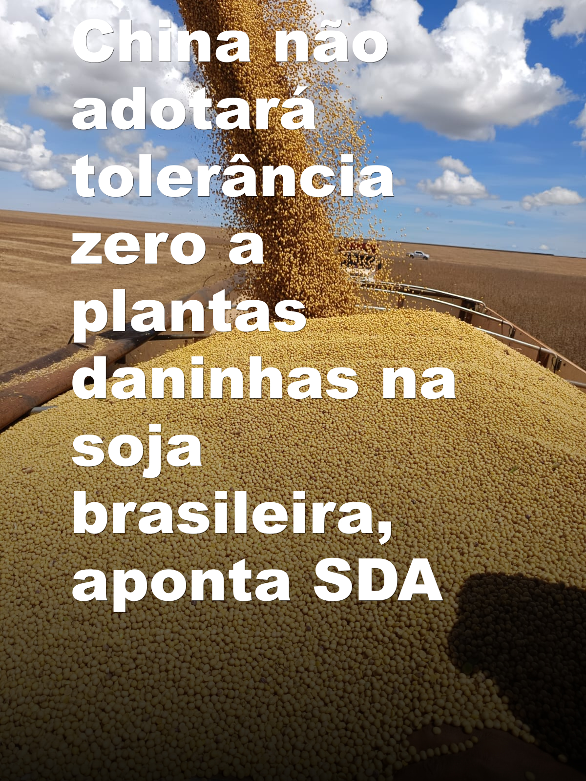 China não adotará tolerância zero a plantas daninhas na soja brasileira, aponta SDA