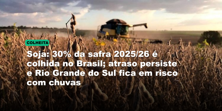 Soja: 30% da safra 2025/26 é colhida no Brasil; atraso persiste e Rio Grande do Sul fica em risco com chuvas
