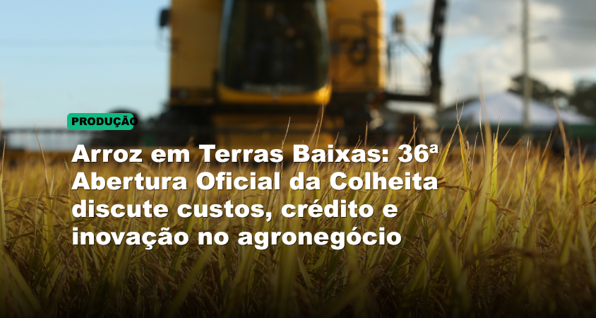 Arroz em Terras Baixas: 36ª Abertura Oficial da Colheita discute custos, crédito e inovação no agronegócio