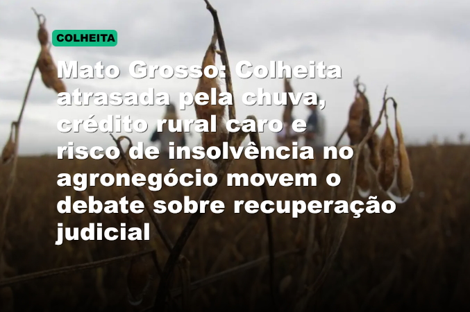 Mato Grosso: Colheita atrasada pela chuva, crédito rural caro e risco de insolvência no agronegócio movem o debate sobre recuperação judicial