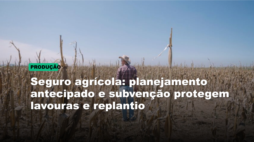 Seguro agrícola: planejamento antecipado e subvenção protegem lavouras e replantio