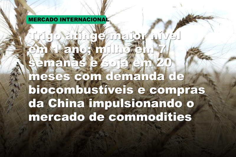 Trigo atinge maior nível em 1 ano; milho em 7 semanas e soja em 20 meses com demanda de biocombustíveis e compras da China impulsionando o mercado de commodities