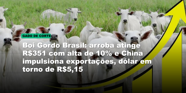Boi Gordo Brasil: arroba atinge R$351 com alta de 10% e China impulsiona exportações, dólar em torno de R$5,15