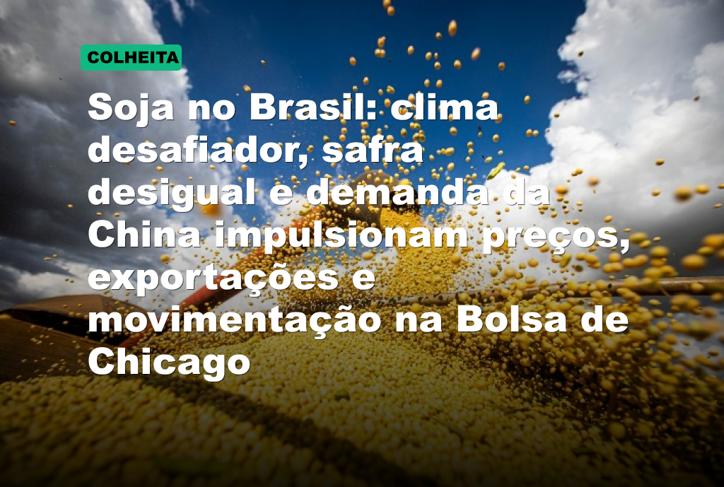 Soja no Brasil: clima desafiador, safra desigual e demanda da China impulsionam preços, exportações e movimentação na Bolsa de Chicago