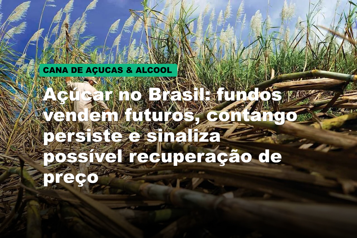 Açúcar no Brasil: fundos vendem futuros, contango persiste e sinaliza possível recuperação de preço