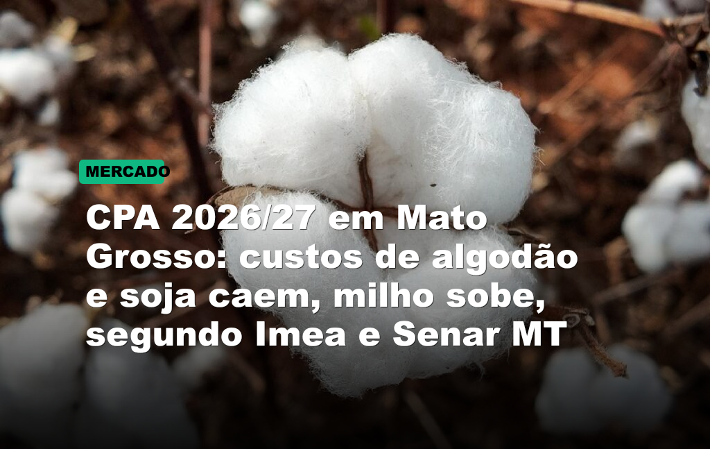 CPA 2026/27 em Mato Grosso: custos de algodão e soja caem, milho sobe, segundo Imea e Senar MT