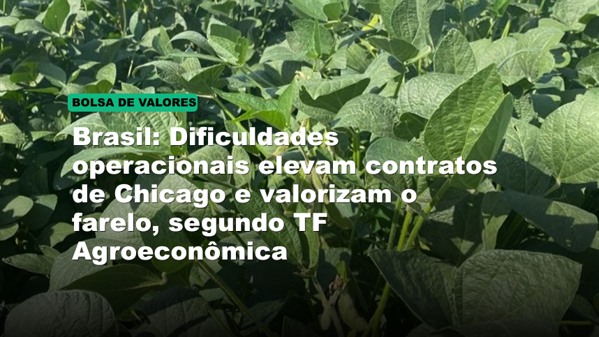 Brasil: Dificuldades operacionais elevam contratos de Chicago e valorizam o farelo, segundo TF Agroeconômica