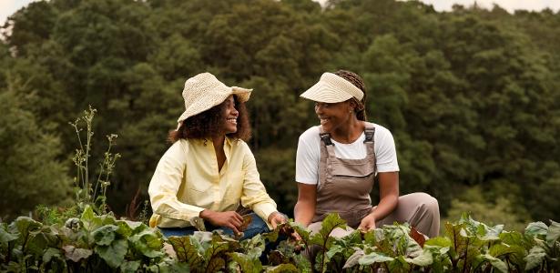 Agricultura Regenerativa: como o solo captura carbono, reduz custos e abre até US$ 1,4 trilhão em oportunidades