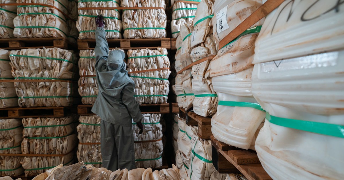 Minas Gerais lidera o Campo Limpo: maior rede de recebimento de embalagens vazias de defensivos agrícolas no Brasil