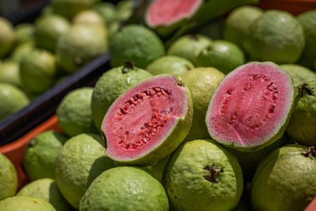 Fruticultores avaliam seguro disponível para o setor