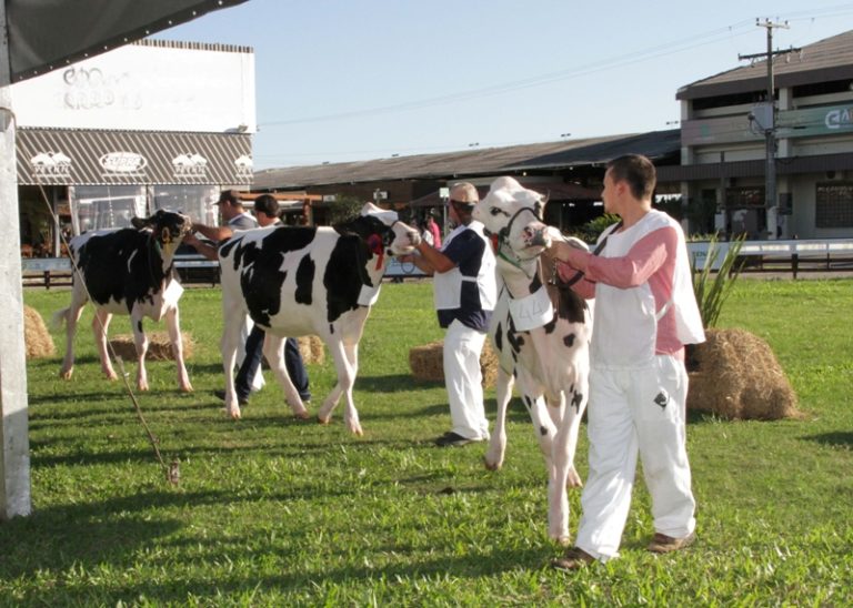 Fenasul Expoleite volta a acontecer em 18 de maio