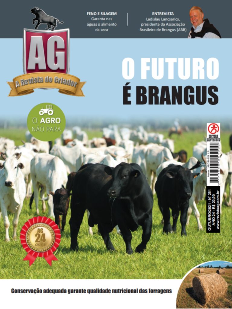 Garanta alimentação ao gado o ano todo