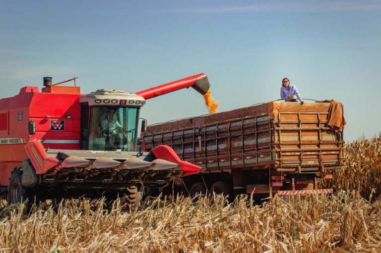 Diversificação e rotação trazem retornos bem positivos às lavouras