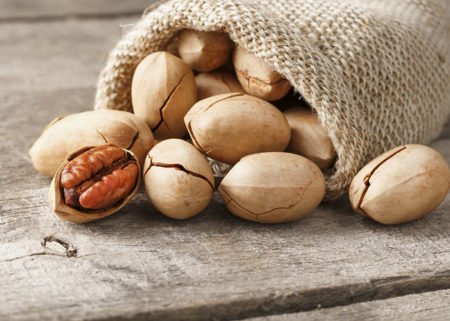 Nozes e castanhas: responsabilidade socioambiental conquista mercados