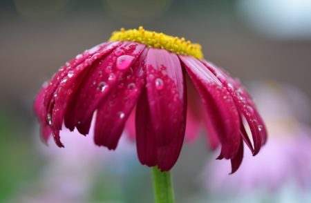 Veja a previsão climática com tendências de chuvas e temperaturas até abril