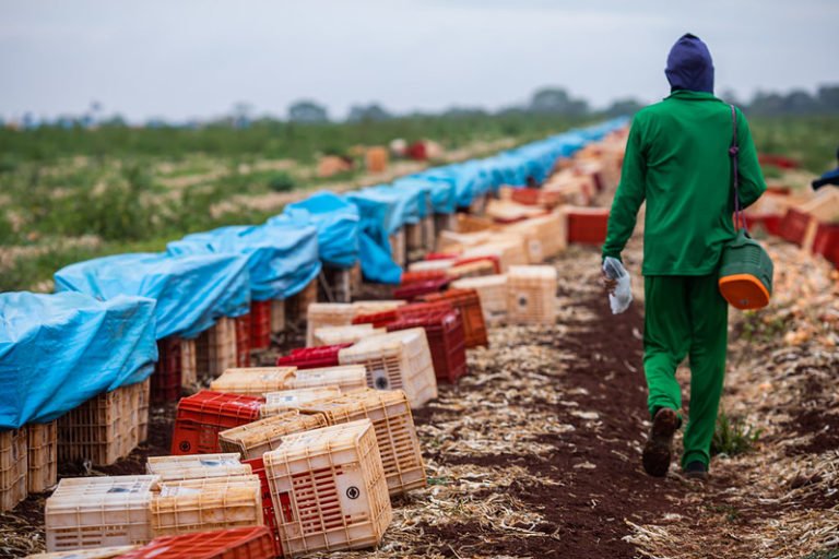 Terceiro trimestre tem queda na geração de empregos no agro do RS