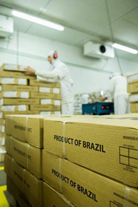 Exportações de carne suína em outubro já alcançaram 99,1 mil toneladas