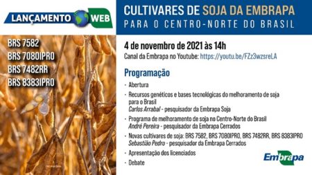 Sojicultor conhece quatro cultivares mais produtivas de soja