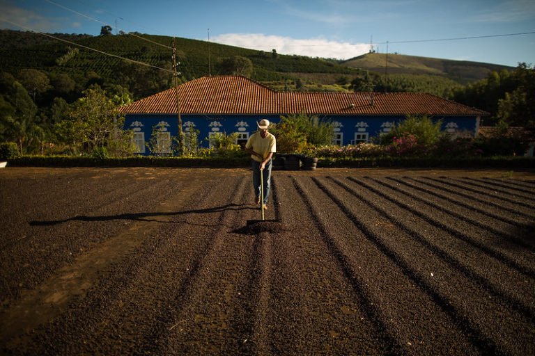 Café: produção deve passar de 169 milhões de sacas no mundo e 46 milhões no Brasil