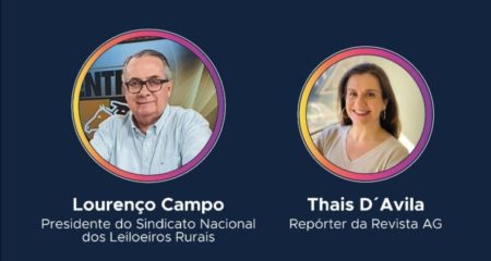 Temporada de leilões: liquidez é a palavra-chave