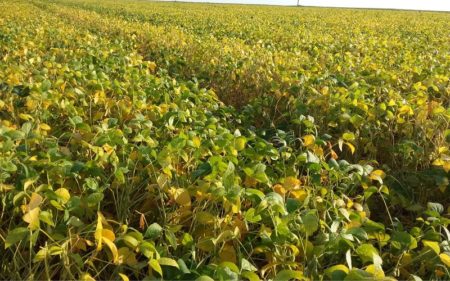 CMN flexibiliza crédito a agricultores de áreas com riscos climáticos