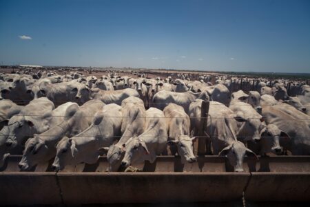 Assocon é contra taxação do Agro