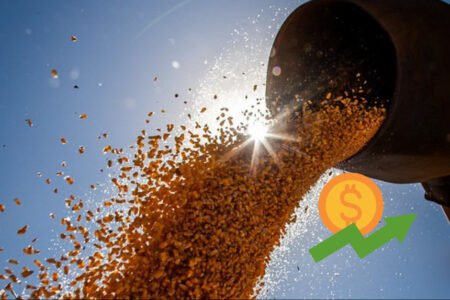 Em janeiro, registro de CPRs acima de R$ 250 mil será obrigatório