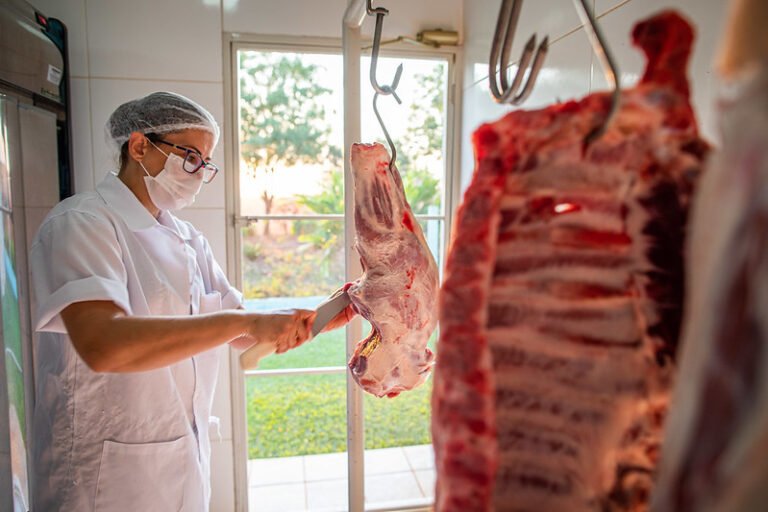 Sobe o preço da carne suína na primeira quinzena de abril