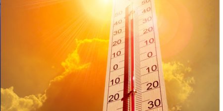 Calorão em SC pede cuidados extras para a agropecuária neste verão