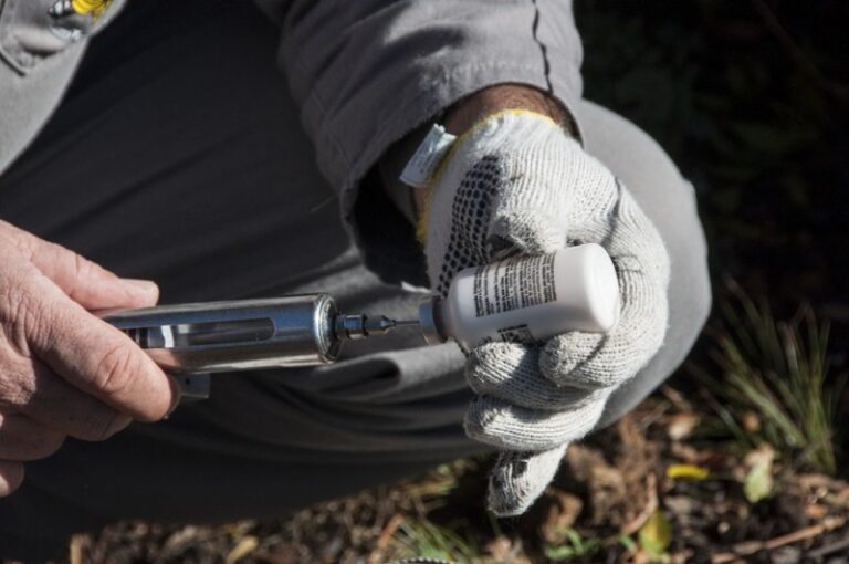 Prazo de vacinação contra febre aftosa se encerra dia 31 em 14 estados
