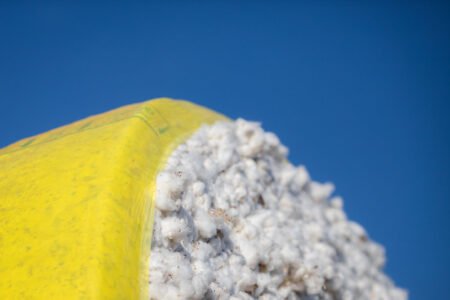 Alta demanda e queda na produção provocam recorde no valor do algodão