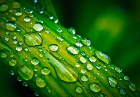 “Águas de março” beneficiam cultivos de verão