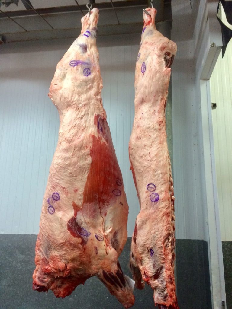 Boi gordo chega a R$ 340,00/@ em São Paulo