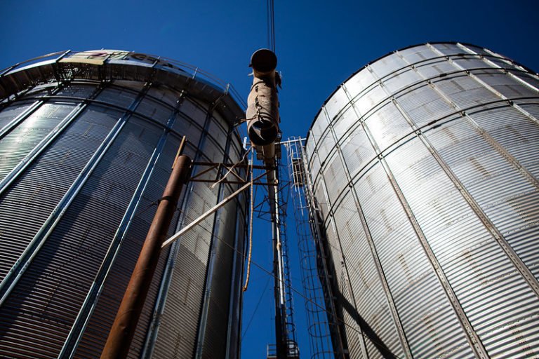 Agricultura é destaque no aumento do PIB