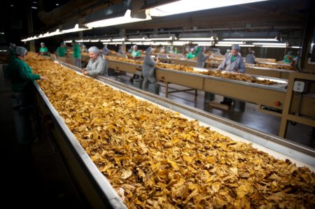 Tabaco: definição de valores para os custos não fumarem a lucratividade