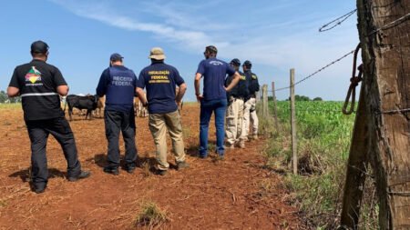 Vigifronteira apreende 1,2 mil toneladas de produtos ilícitos