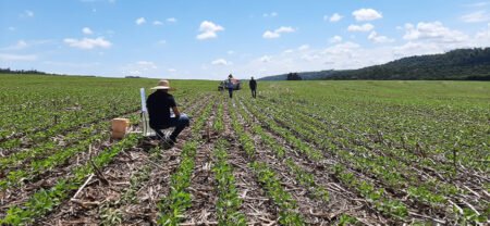 Método de avaliação do solo identifica fatores que limitam a produtividade