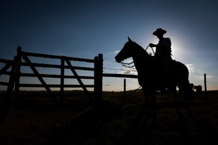 Um olé no vazio operacional do campo