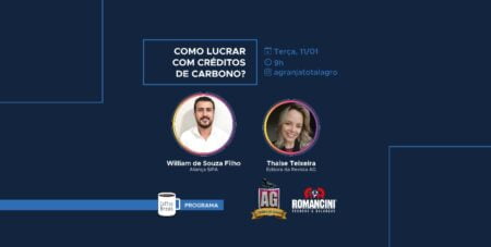 Como lucrar com créditos de carbono?