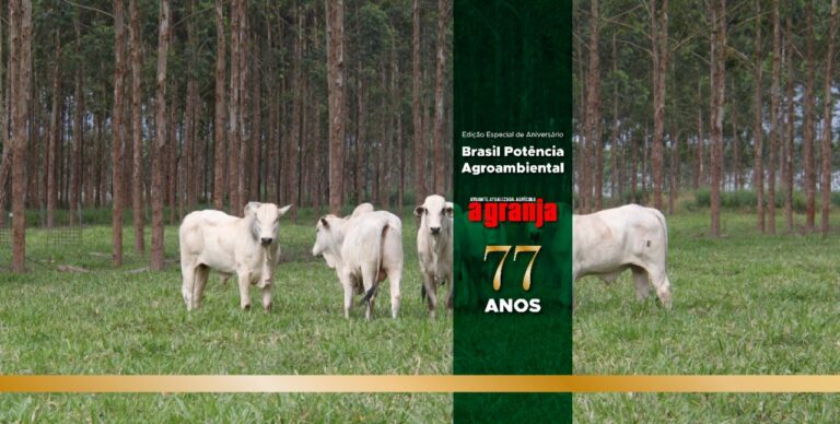 Presidente da Embrapa: “Estamos dando um show de sustentabilidade”