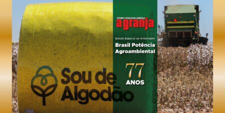 Algodão Brasileiro Responsável é compromisso com a sustentabilidade