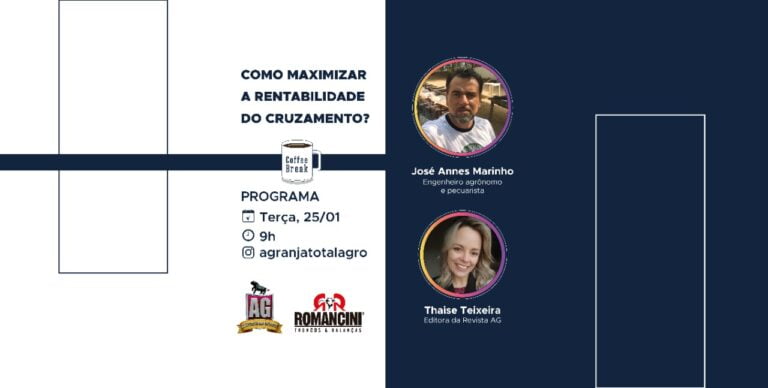 Cruzamento: como maximizar resultados?