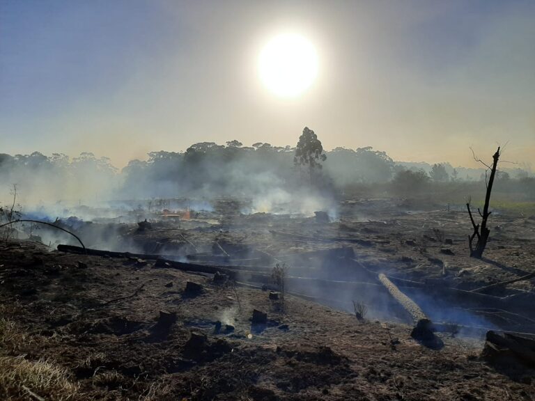 A seca que o povo da cidade vê quando pega a estrada